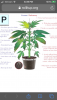 FD84A682-F21B-4557-9438-D2C09E189D53.png