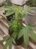 20200903_090039.jpg