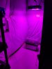 20200914_125121.jpg 20200914_125121.jpg