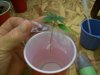 100_4509.jpg