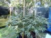 IMG_20200919_095311.jpg