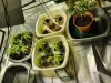 20200919_180519.jpg