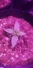 20200919_204625.jpg