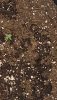20200919_205325.jpg