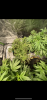 6BF875D6-130B-45B7-98A6-BCC648EFD2FD.png