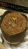 20200923_181704.jpg