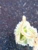 20200923_175329.jpg