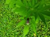 20200925_102432.jpg