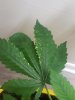 20200927_104918.jpg