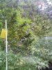 9-28-2020 Outdoor Crop Update (22).jpg