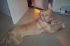 000_0011.jpg