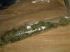 150px-Weed_full_schmiddy.jpg