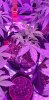 20200928_163138.jpg