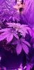 20200928_163122.jpg