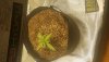 20200929_174017.jpg