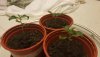 20200930_205311.jpg