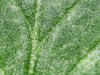 WIN_20201001_19_58_57_Pro.jpg