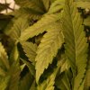 20201001_203657.jpg