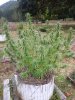 20200926_140327.jpg