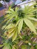 20201003_095918.jpg
