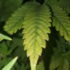 20201003_175420.jpg