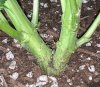 PXL_20201005_052145643.jpg