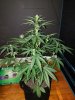 20201005_181826.jpg