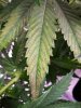 IMG_20201007_185416.jpg