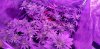 20201007_183904.jpg