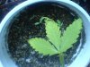 DSC01751.jpg