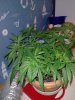 IMG20201008222003.jpg