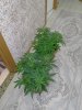 IMG20201009162005.jpg
