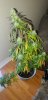 20201009_125211.jpg