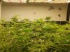 20201015_094845.jpg
