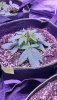 20201016_233818.jpg