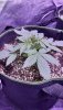 20201016_233814.jpg