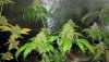 WP_20201015_21_02_35_Pro_LI.jpg