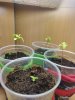 IMG_20201018_175033.jpg