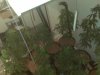 IMG00117.jpg