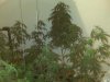 IMG00111.jpg
