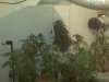 IMG00109.jpg