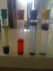 Soil test day 13 (2).jpg