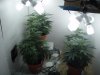 growit 001.jpg