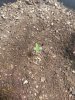 IMG_20201019_095726205.jpg