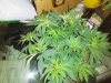 IMG_20201019_103638.jpg