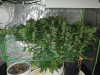 20201019_202307.jpg