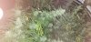 20201020_082851.jpg
