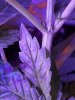 20201026_232932.jpg