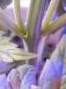 20201026_232843.jpg