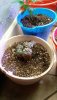 1027201320_Burst01.jpg